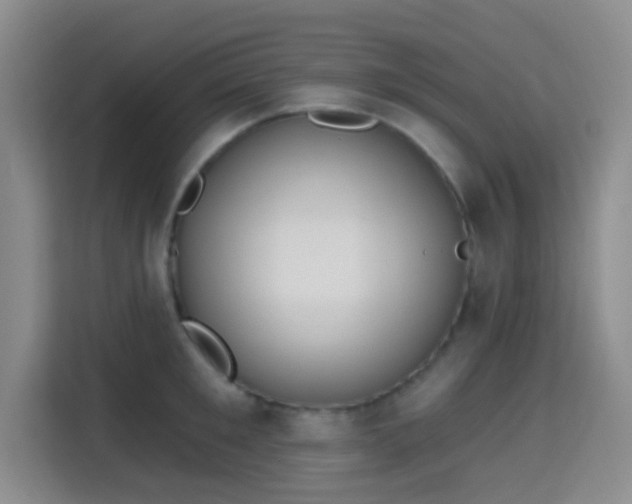 X0000115710901200911191247