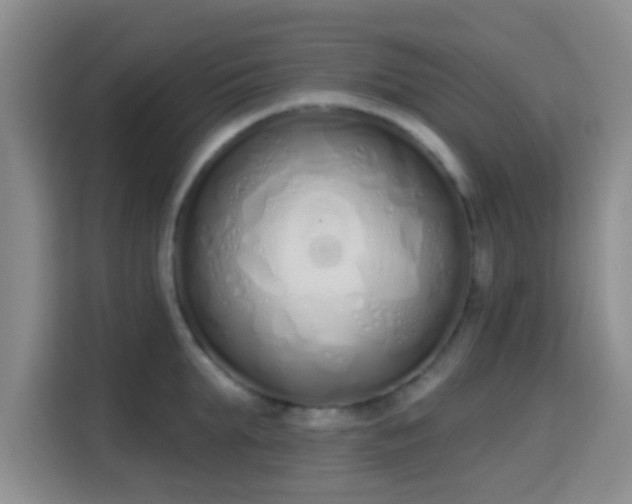 X0000115710903200911191247