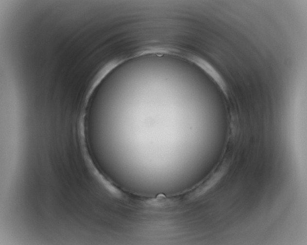 X0000115710906200911191247