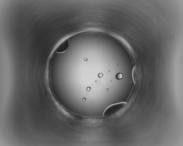 X0000115710910200911191247