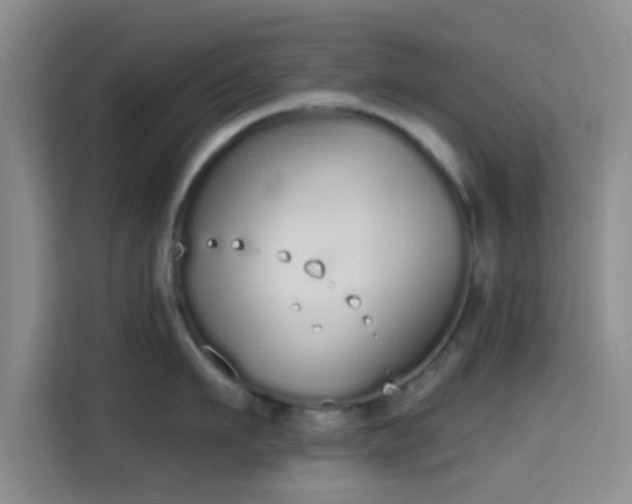 X0000115710911200911191247