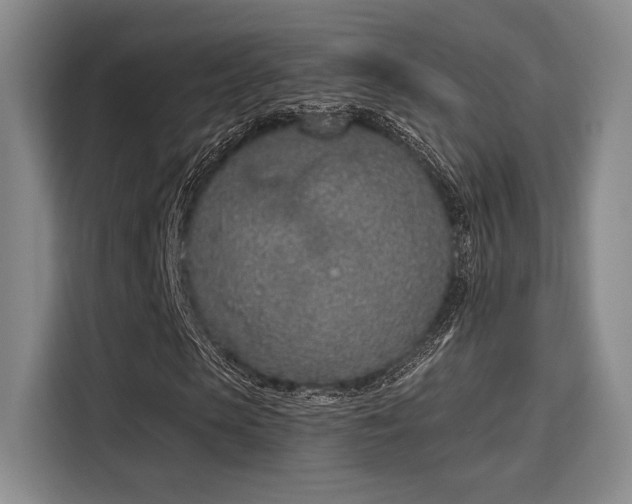 X0000115710913200911191246