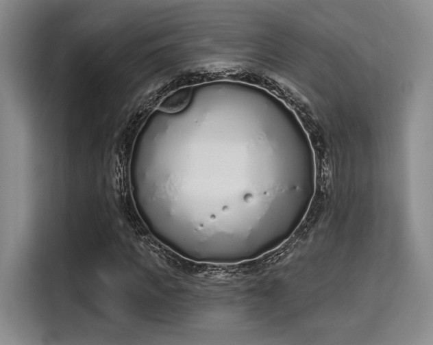 X0000115710917200911191246