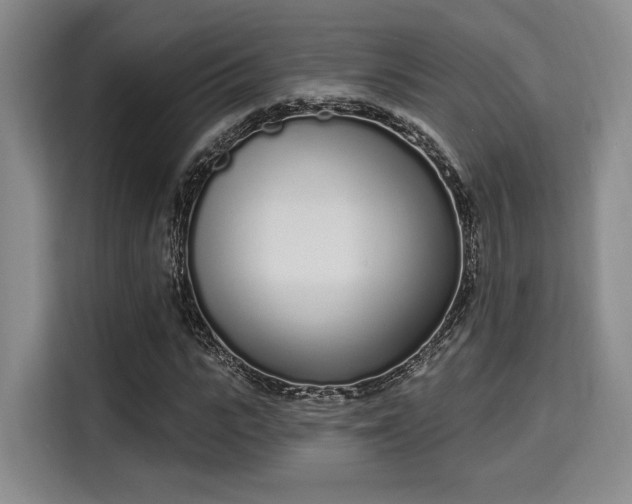 X0000115710919200911191246