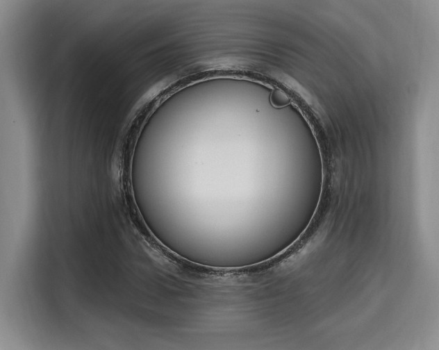 X0000115710922200911191246