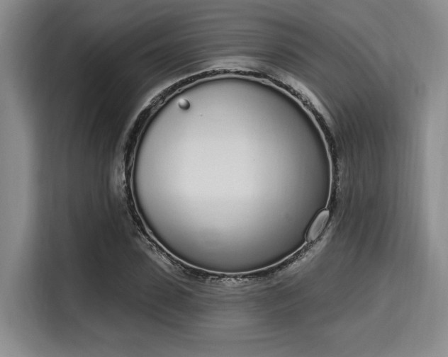 X0000115710923200911191246