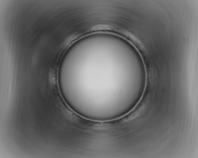 X0000115710929200911191246