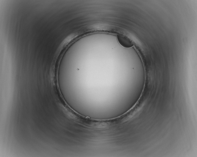 X0000115710930200911191246