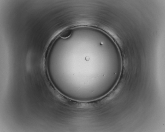 X0000115710933200911191247