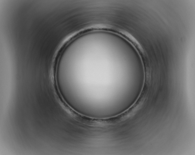 X0000115710935200911191247