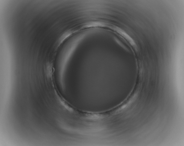 X0000115710945200911191247