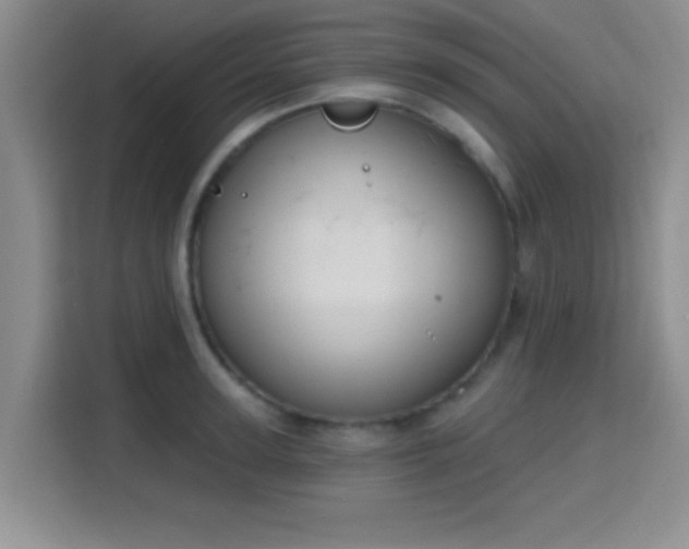 X0000115710947200911191247