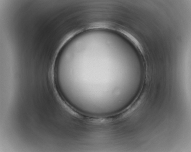 X0000115710949200911191247