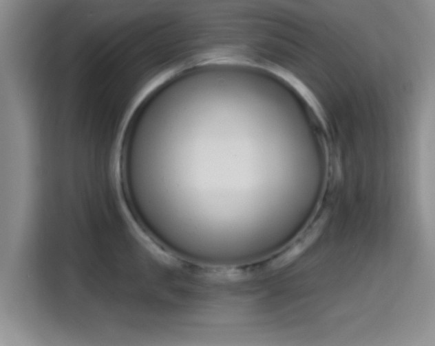 X0000115710957200911191247