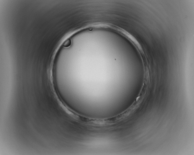 X0000115710959200911191247