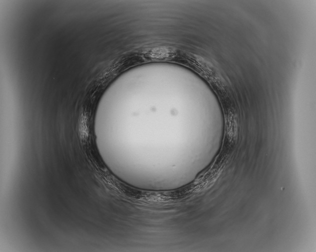 X0000115710962200911191246