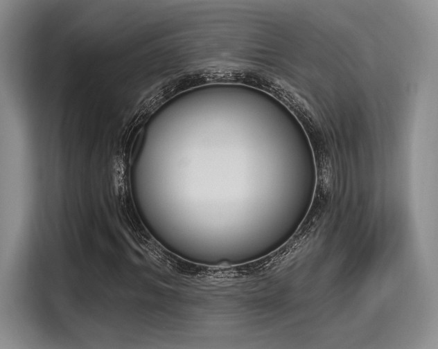 X0000115710964200911191246