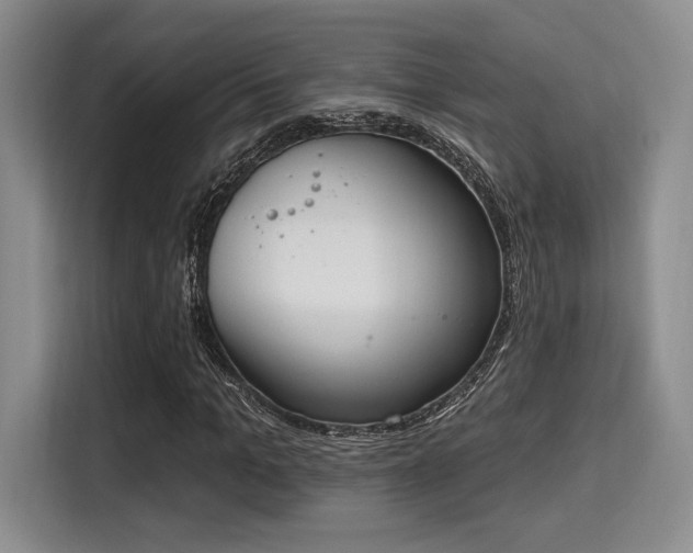 X0000115710965200911191246