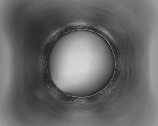 X0000115710967200911191246