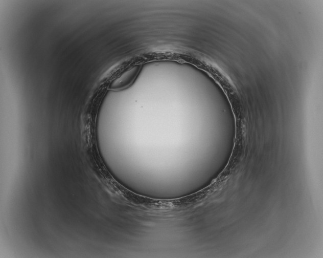 X0000115710968200911191246