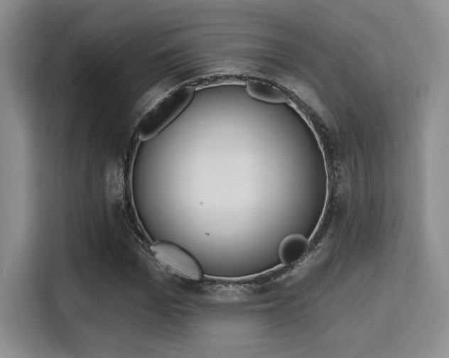 X0000115710969200911191246