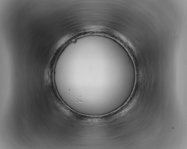 X0000115710970200911191246