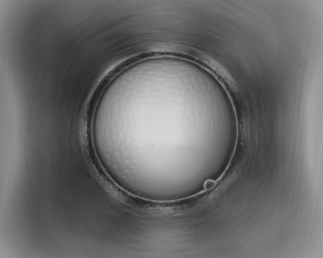 X0000115710976200911191246