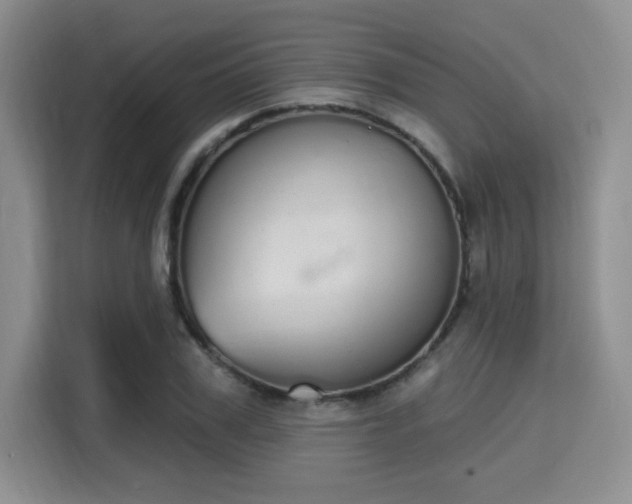 X0000115710979200911191246