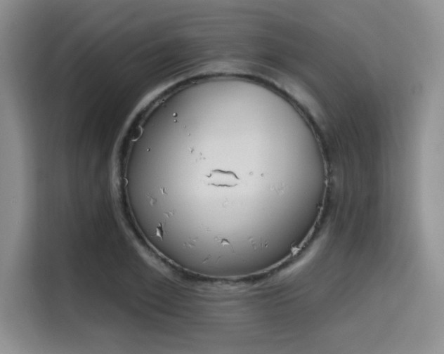 X0000115710981200911191246