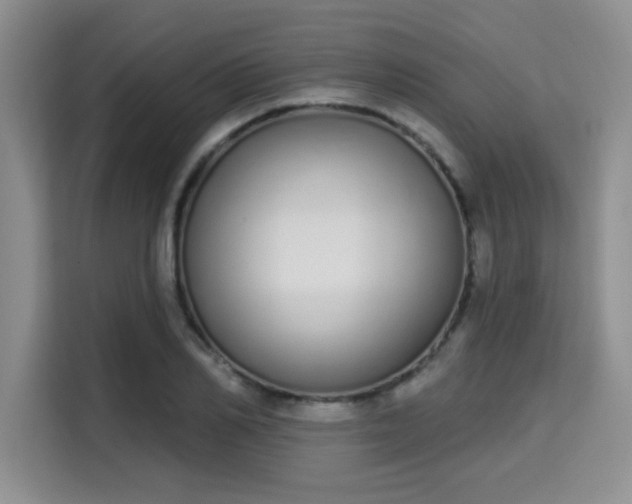 X0000115710982200911191246