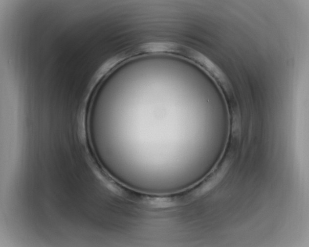 X0000115710986200911191246