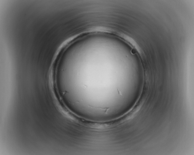 X0000115710987200911191246