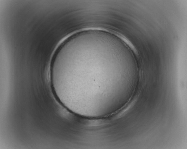 X0000115710988200911191246