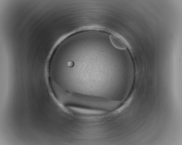 X0000115710989200911191246