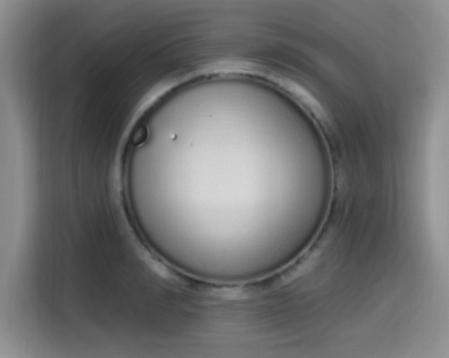 X0000115710990200911191246