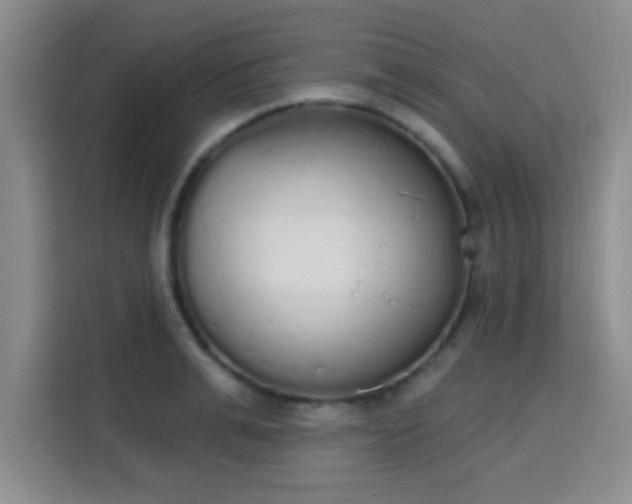 X0000115710991200911191246