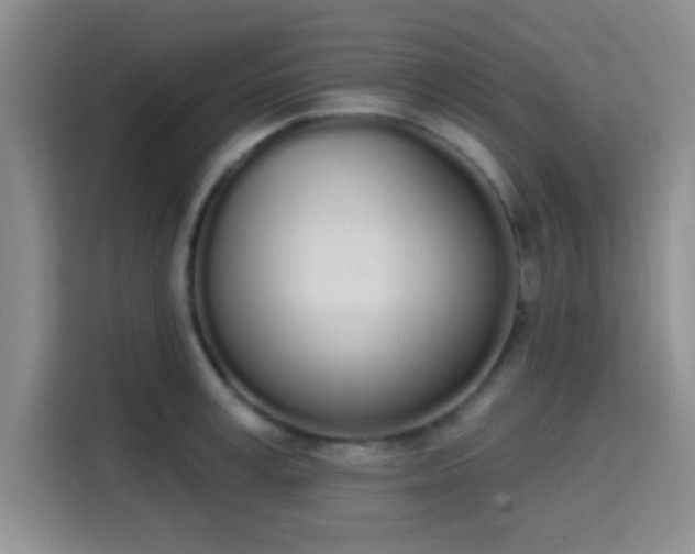 X0000115710995200911191246