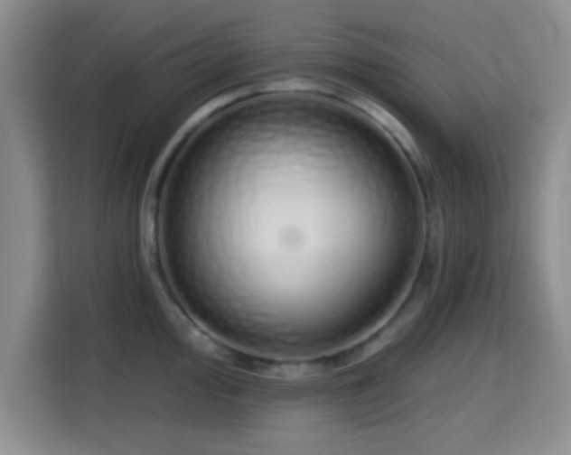 X0000115711000200911191246