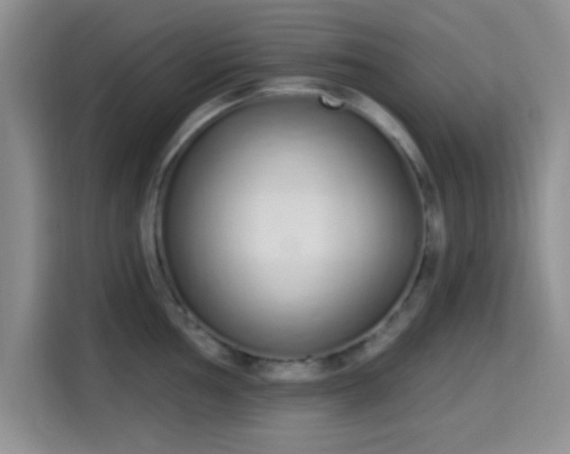 X0000115711002200911191246