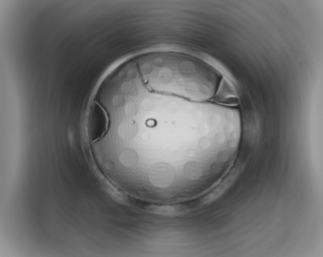 X0000115711004200911191246