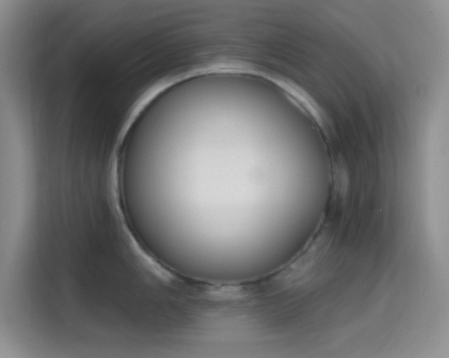 X0000115711006200911191246