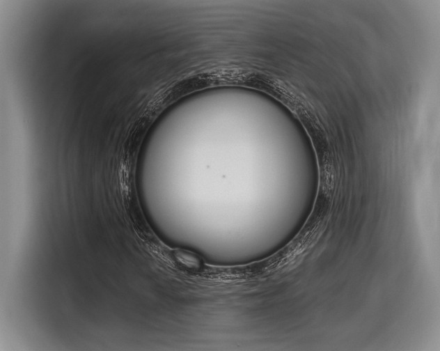 X0000115711010200911191245