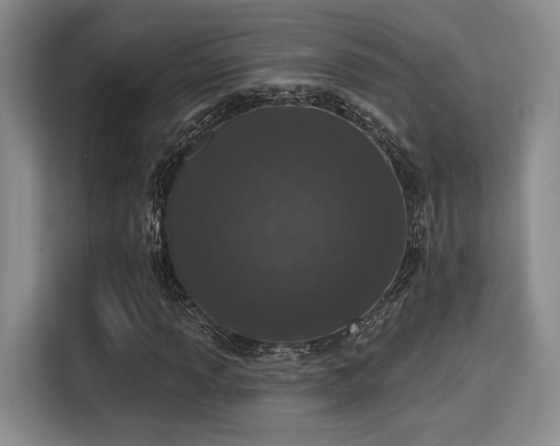 X0000115711013200911191245