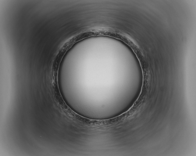 X0000115711016200911191245