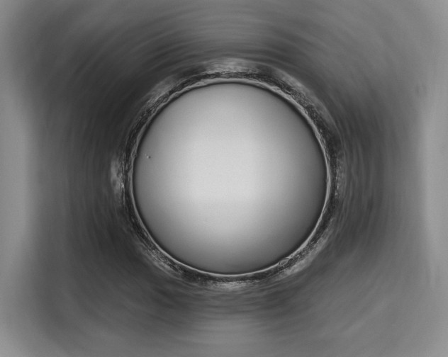 X0000115711017200911191245