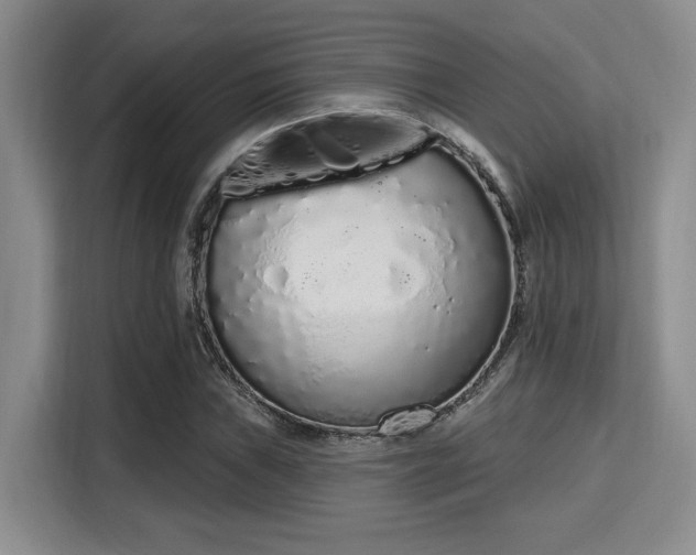 X0000115711019200911191245