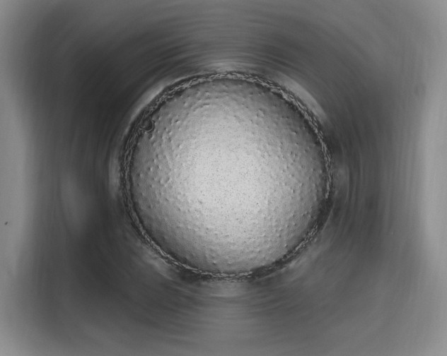 X0000115711023200911191245