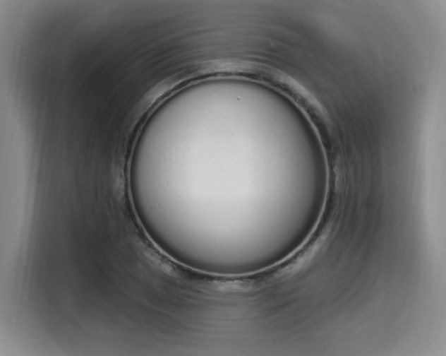 X0000115711025200911191245