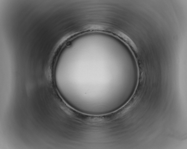 X0000115711027200911191245