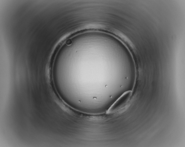 X0000115711029200911191245